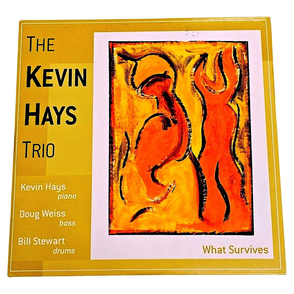 Kevin Hays Trio What Survives Jazz CD Album Doug Weiss Bill Stewart Music EUC